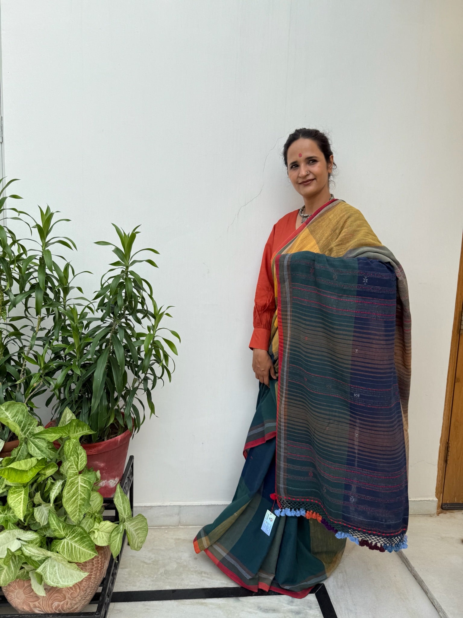 Traditional Multicolor Bhujodi Saree with Earthy Tones