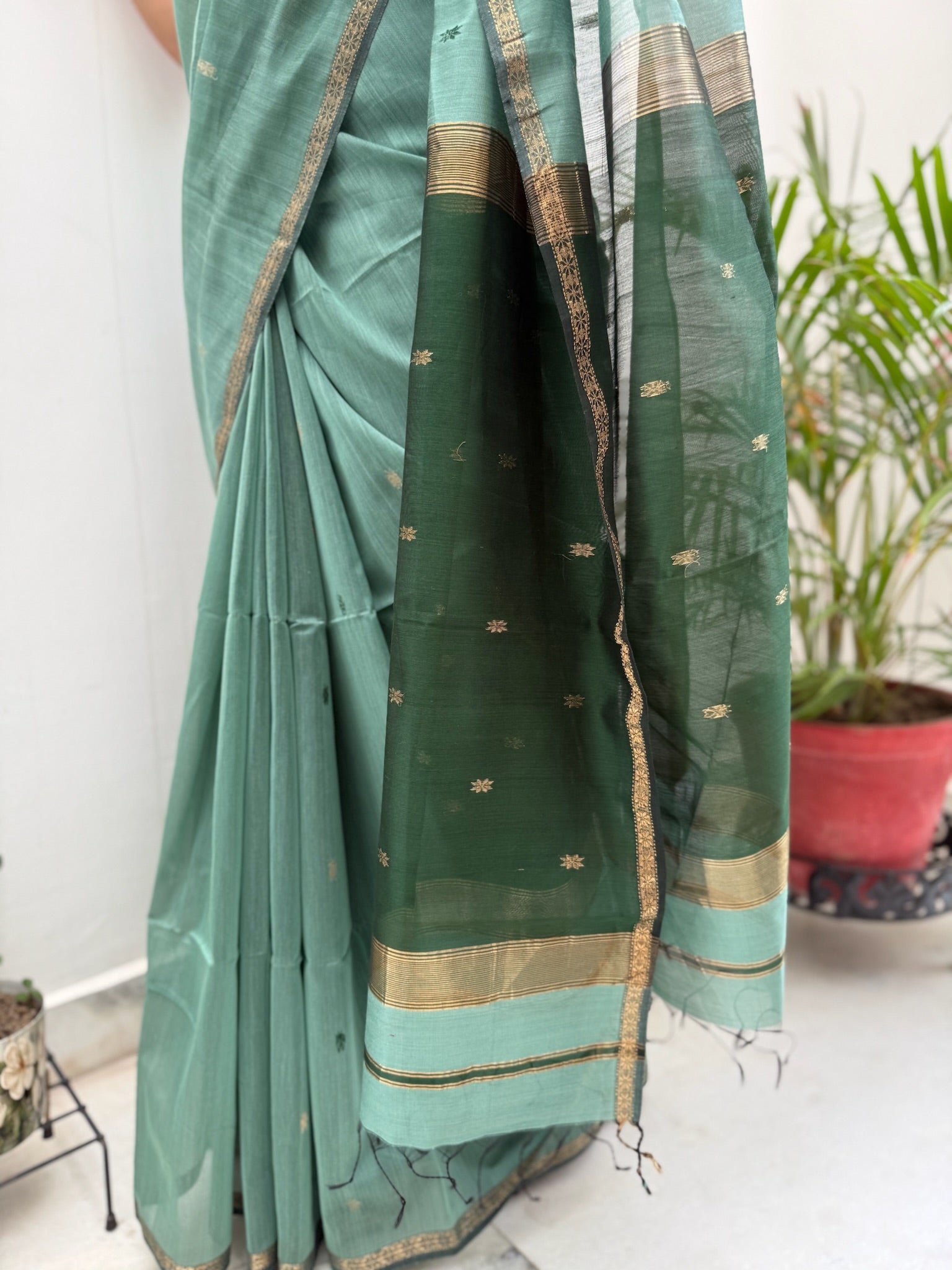 Sage Green With Dark Green Pallu Handwoven Cotton Silk Maheshwari Saree